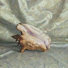 Still life with white brocade and shell